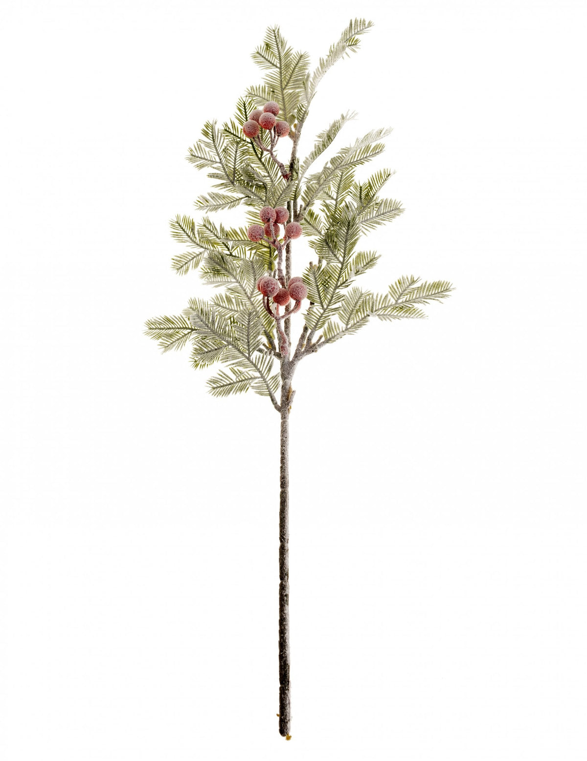 Branche de sapin avec baies rouges pour décoration de Noël vert et rouge givré