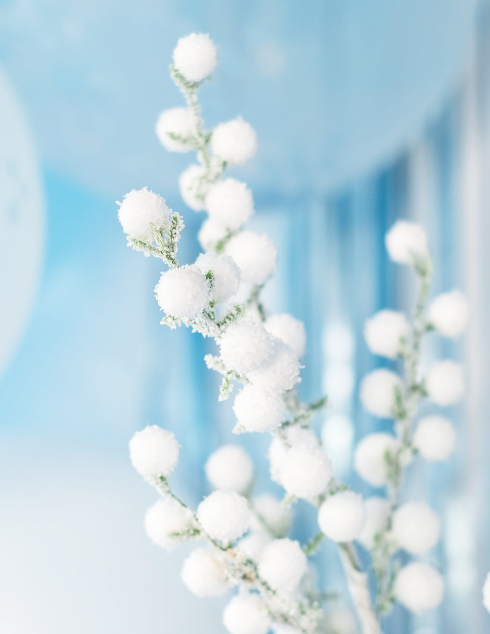 Détail de la texture de la branche boules givrées pour décoration de Noël blanches