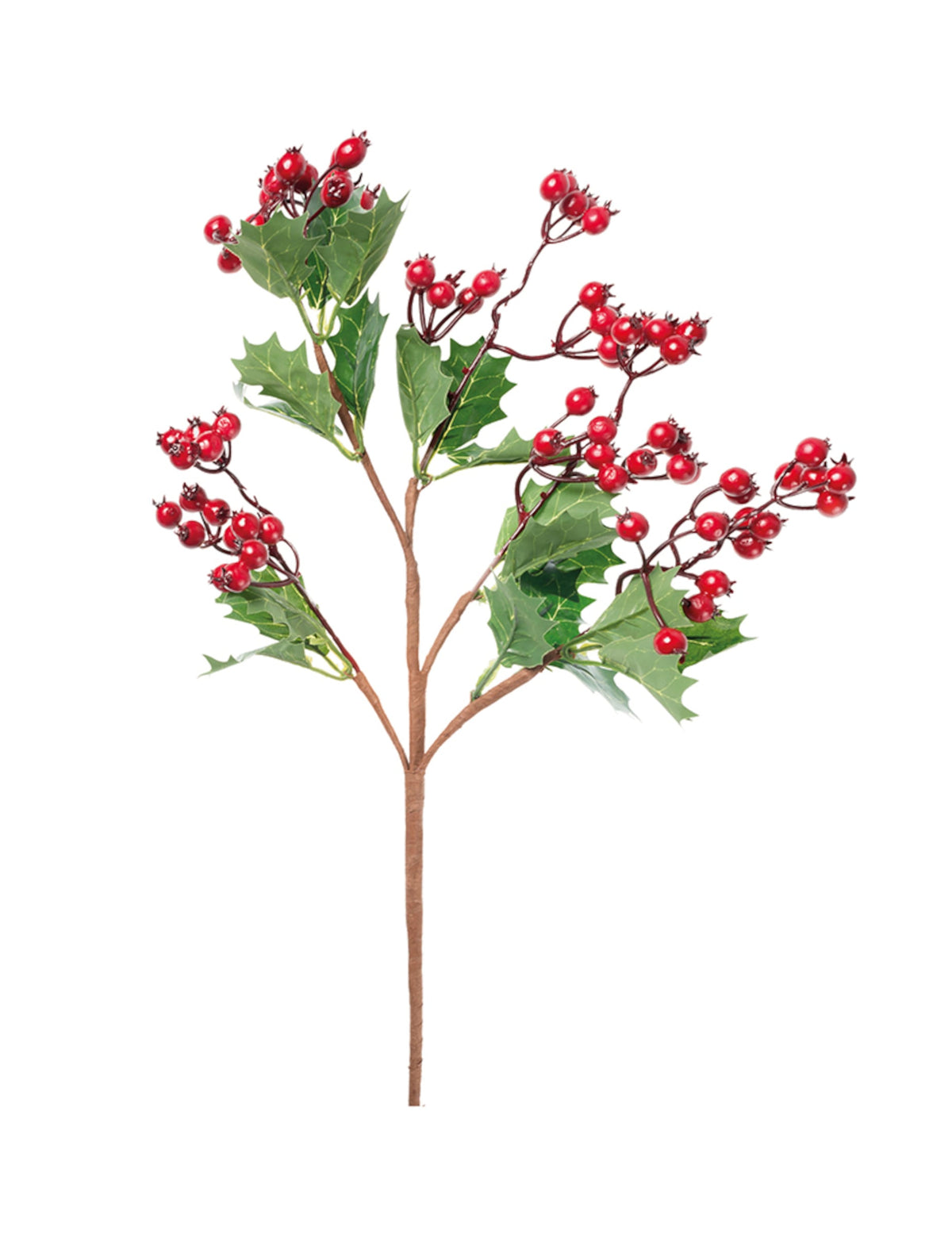 Branche de houx avec baies de Noël pour décoration rouge et vert