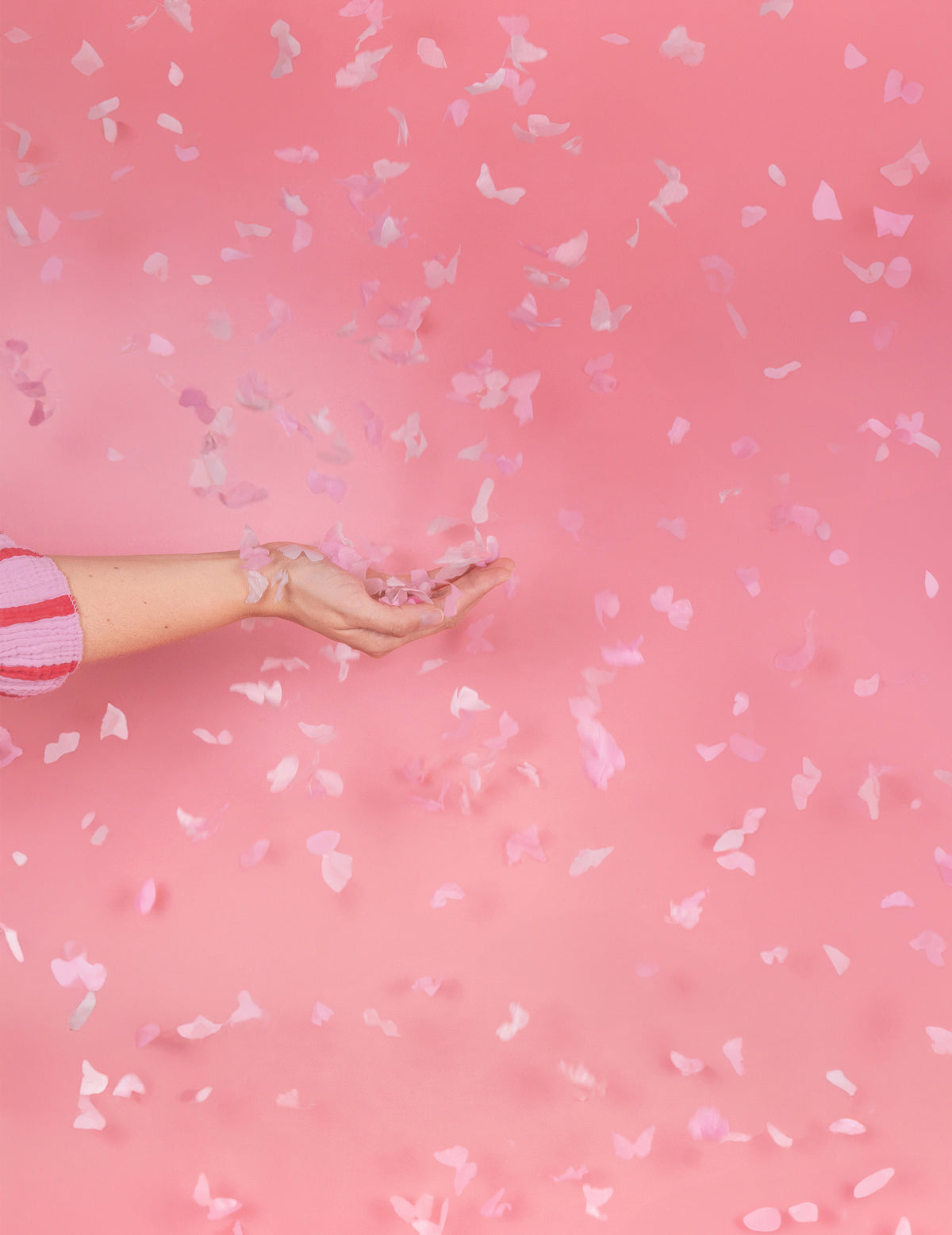 Effet de pluie de confettis du canon à confettis papillons pour gender reveal roses
