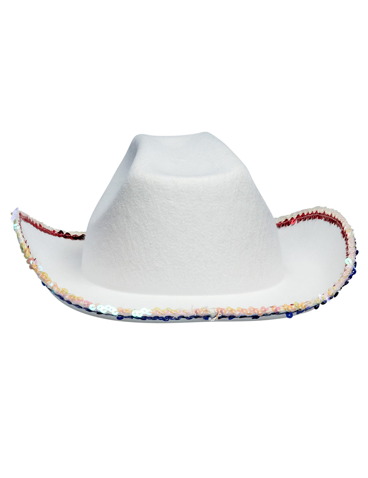 Vue de dos du chapeau de cowboy USA