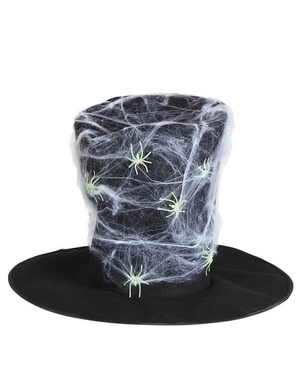 Grande aproximação da teia e da aranha do chapéu cartola com teia de aranha