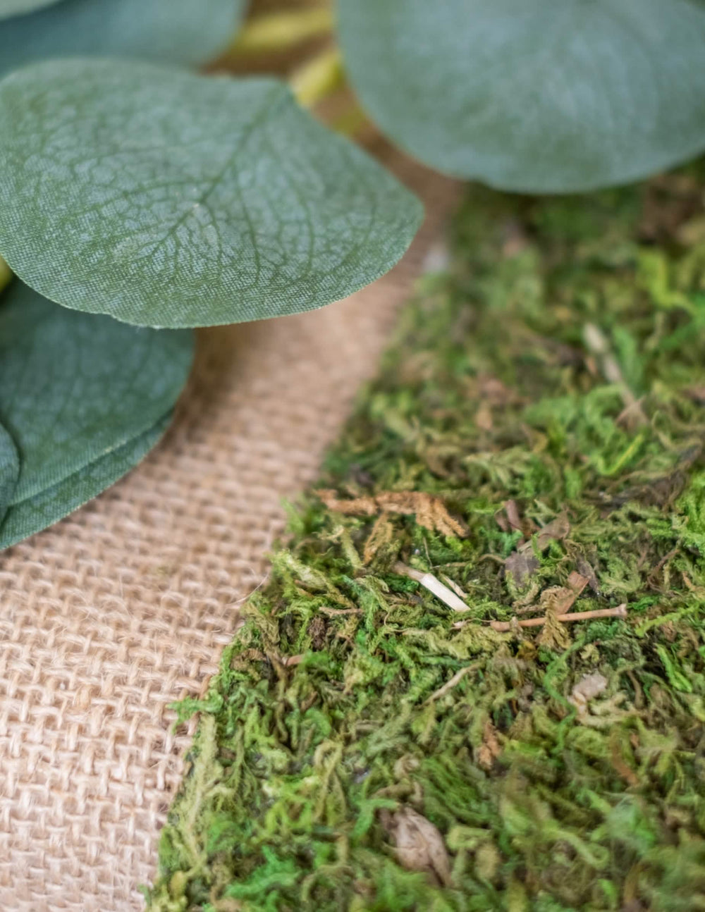 Grande plano da musgo e da serapilheira do caminho de mesa vegetal em musgo natural para casamento