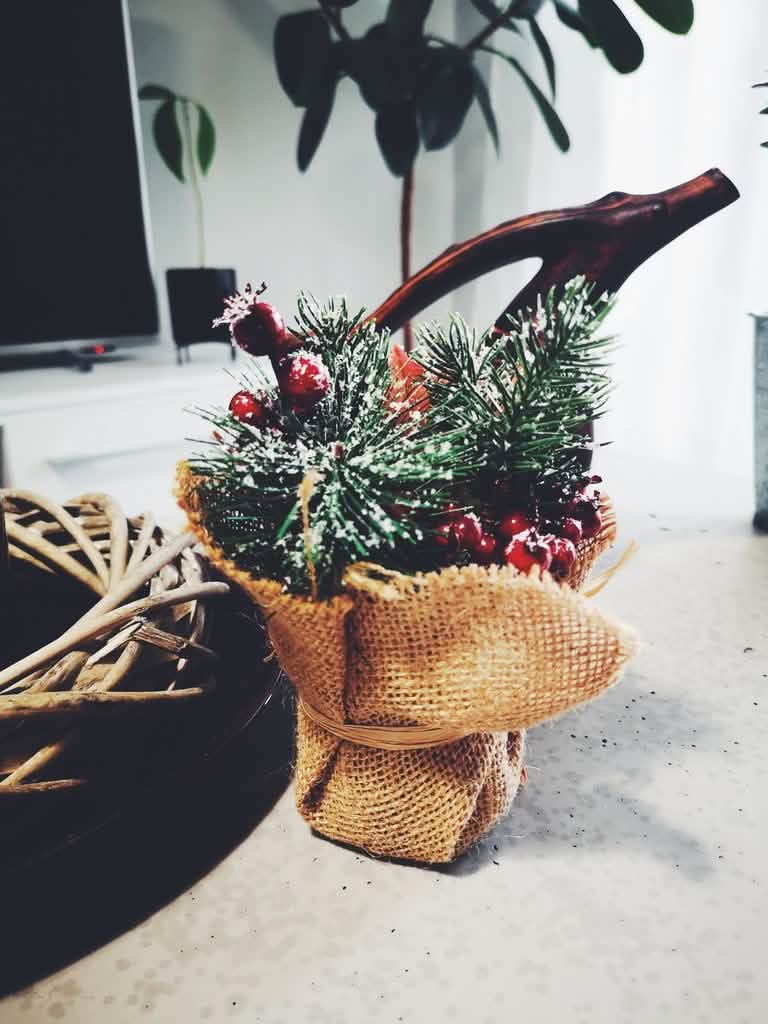 Detalhe do vaso em serapilheira da composição de natal com bagas vermelhas e pinheiro coberto de neve