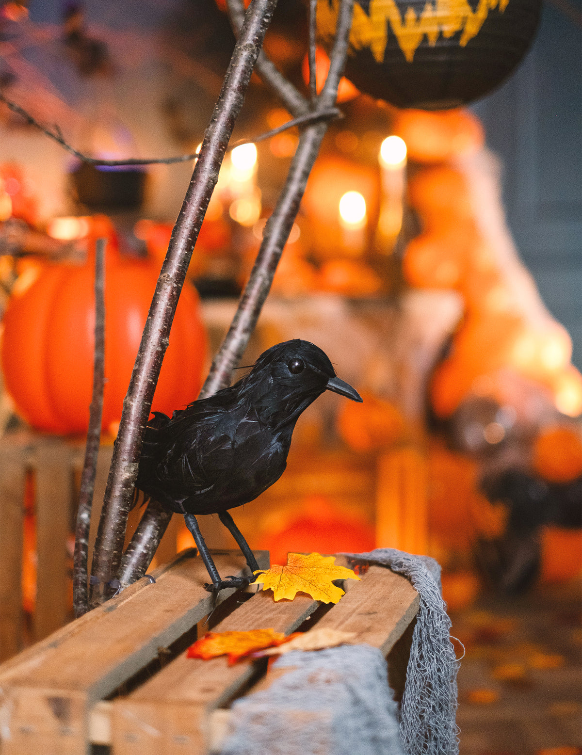 Vue de profil du corbeau en plumes pour décoration d'Halloween