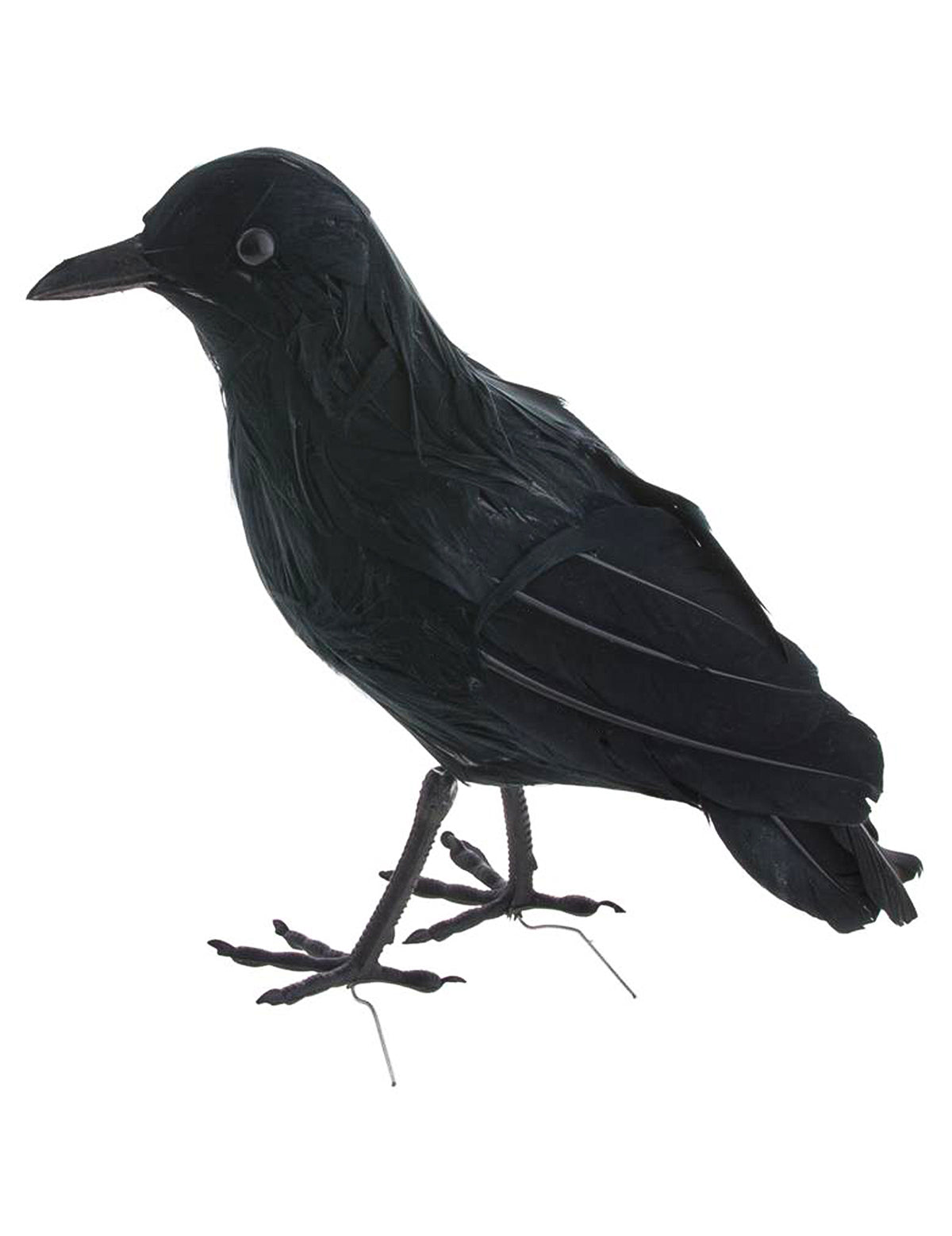 Corbeau en plumes pour décoration d'Halloween noir