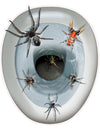 Décoration autocollante pour wc Araignées pour Halloween multicolore réaliste