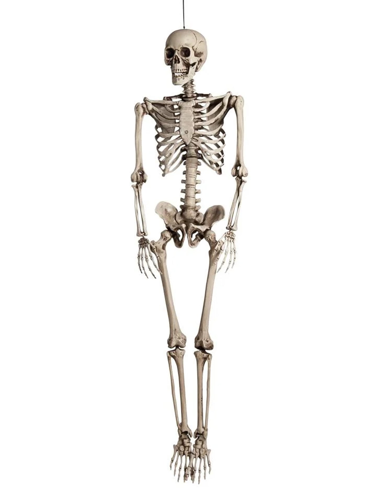 Vue de face de la décoration à suspendre squelette taille humaine