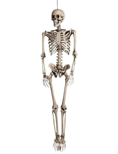 Vue de face de la décoration à suspendre squelette taille humaine