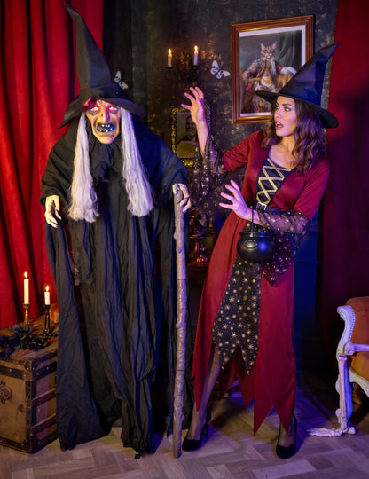 Decoração animada com luzes e sons Bruxa Endora 170 cm