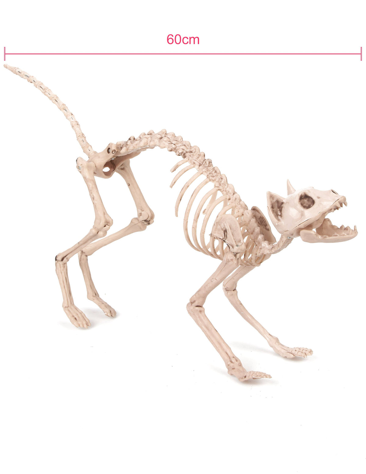 Vue de profil avec dimensions de la décoration chat squelette Halloween
