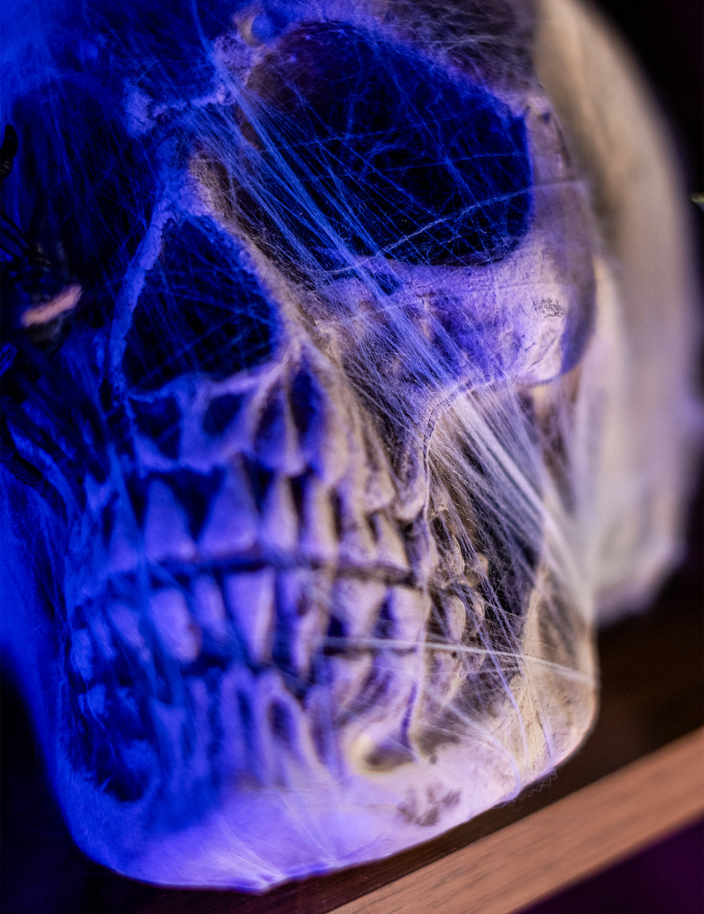 Gros plan sur les détails de la face de la décoration crâne avec toile d'araignée
