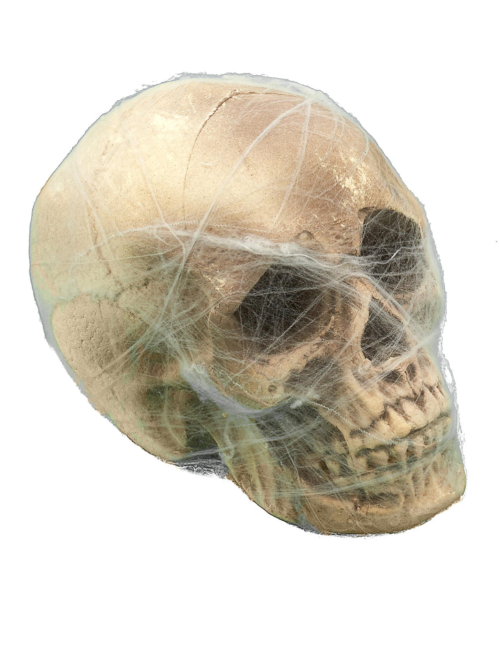Gros plan sur les détails de la face de la décoration crâne avec toile d'araignée