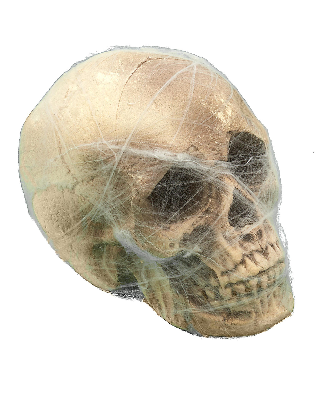 Gros plan sur les détails de la face de la décoration crâne avec toile d'araignée