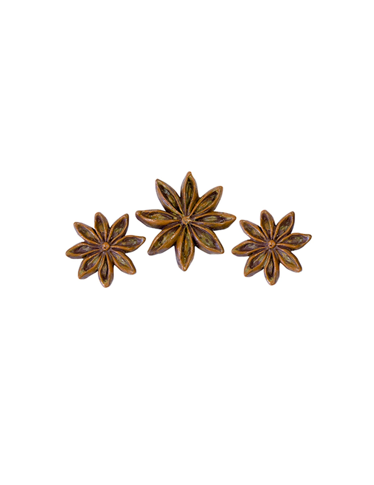 Décorations en résine anis étoilé pour table marron