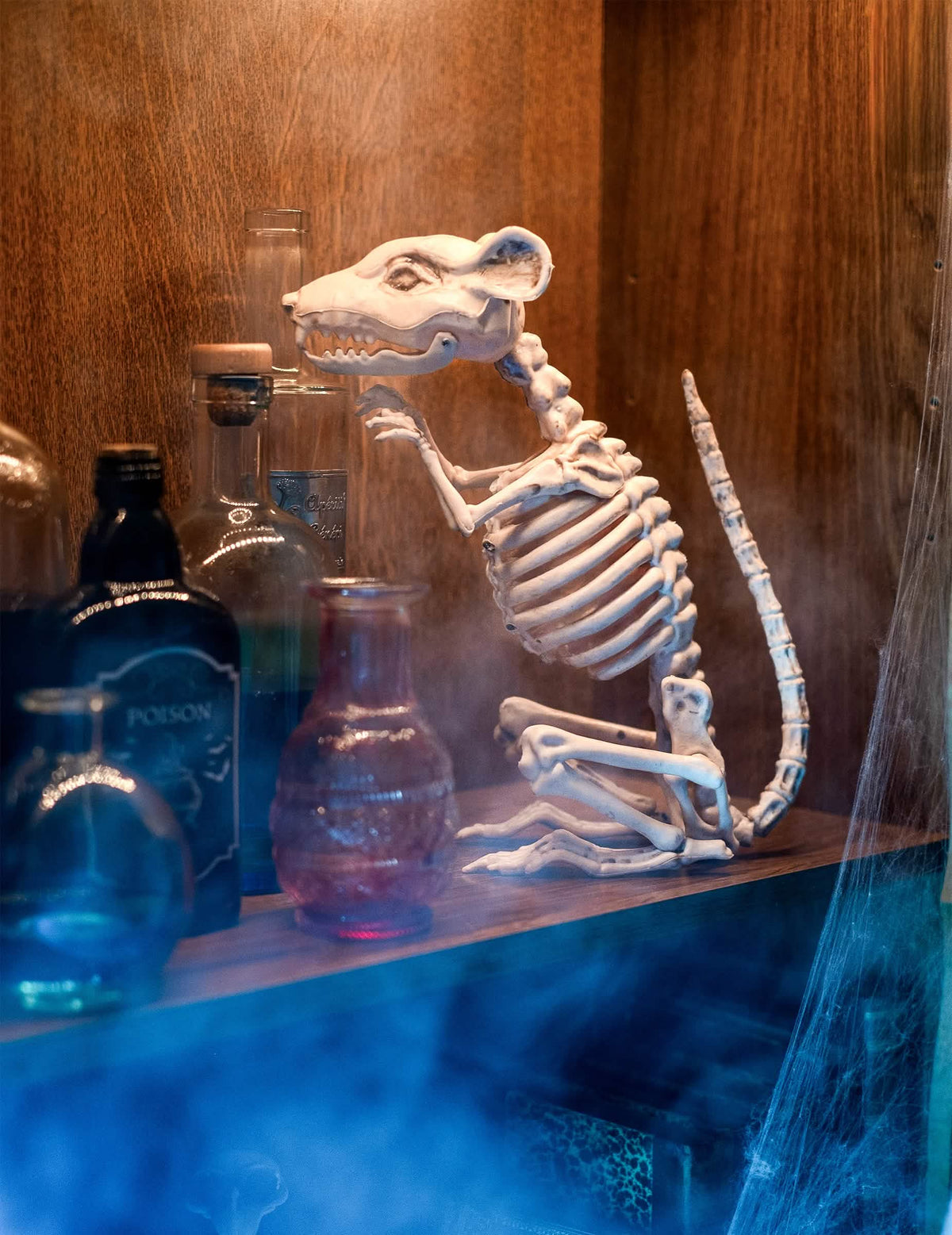 Encenação da decoração rato esqueleto para halloween entre frascos de veneno