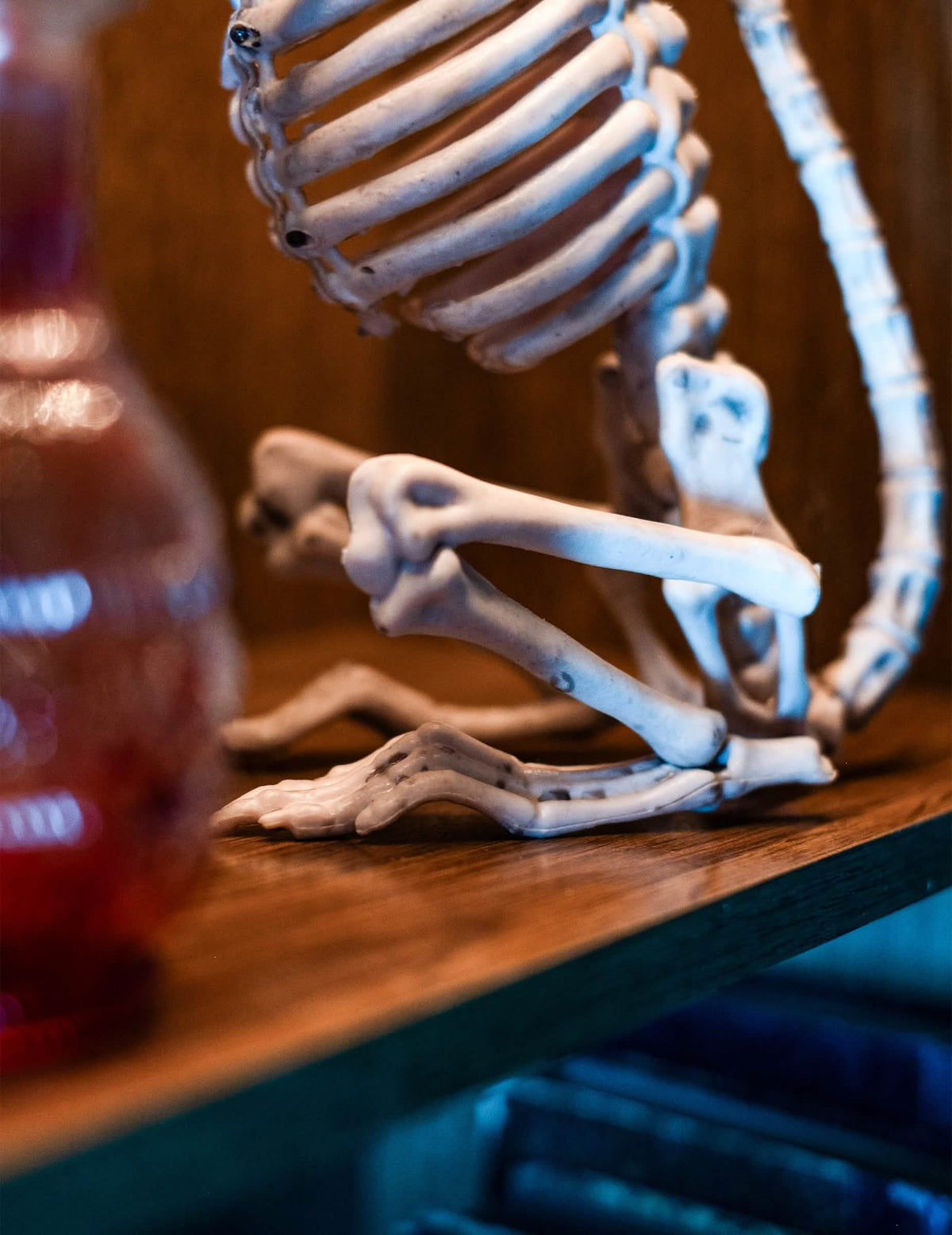 Grande plano da caixa torácica e das patas da decoração rat skeleton halloween