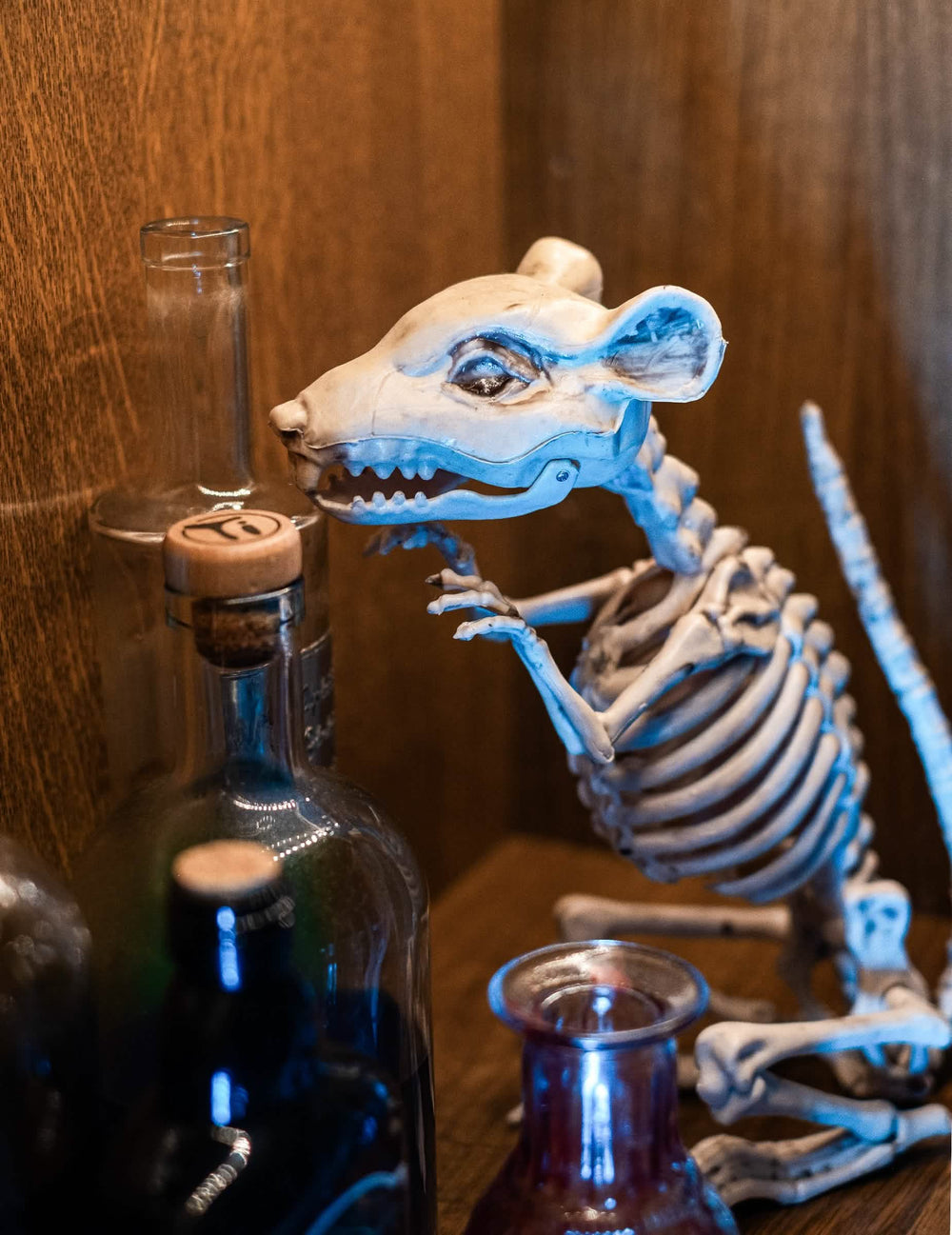 Grande plano da cabeça da decoração rato esqueleto halloween