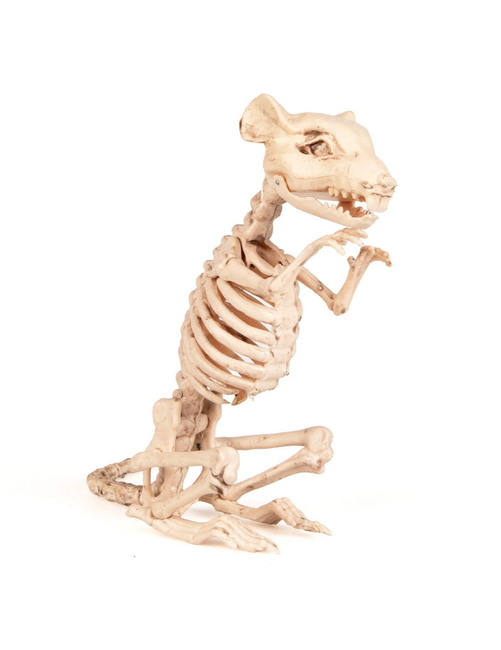 Decoração de rato esqueleto para halloween bege aspeto de osso
