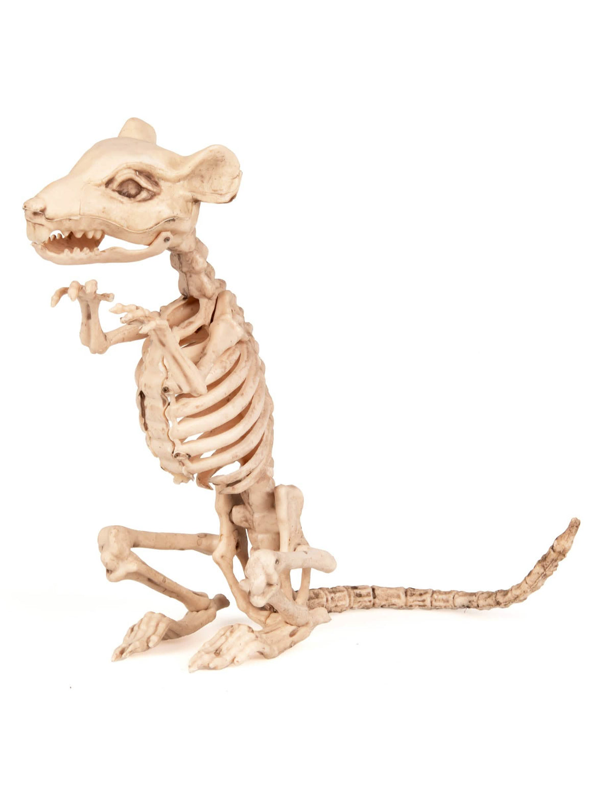 Vista de perfil da decoração de rato esqueleto halloween