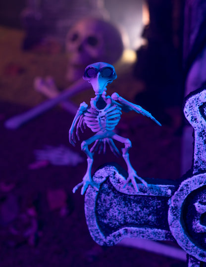 Decoração esqueleto corvo Halloween