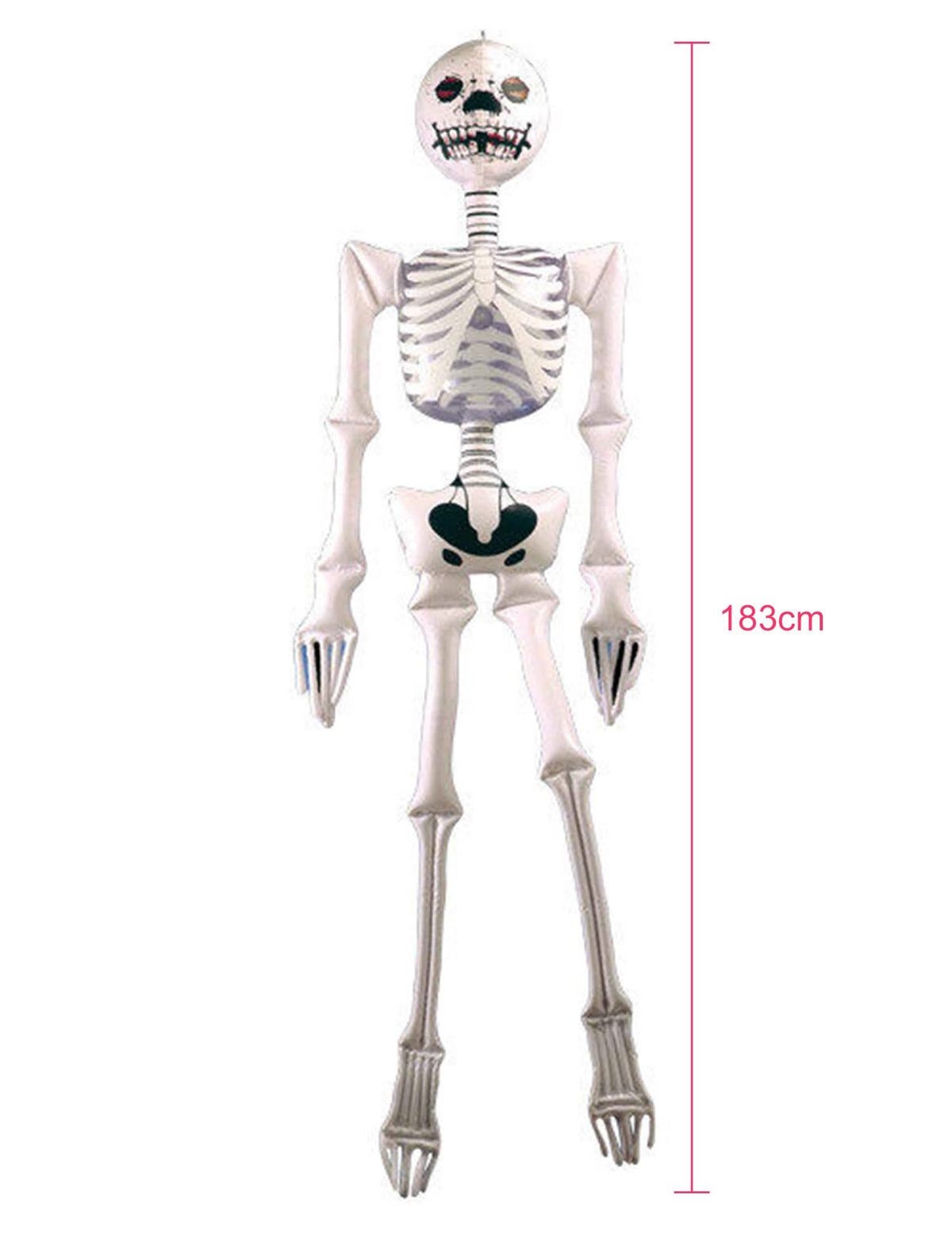 Vista geral com dimensões da decoração carry me de esqueleto para halloween
