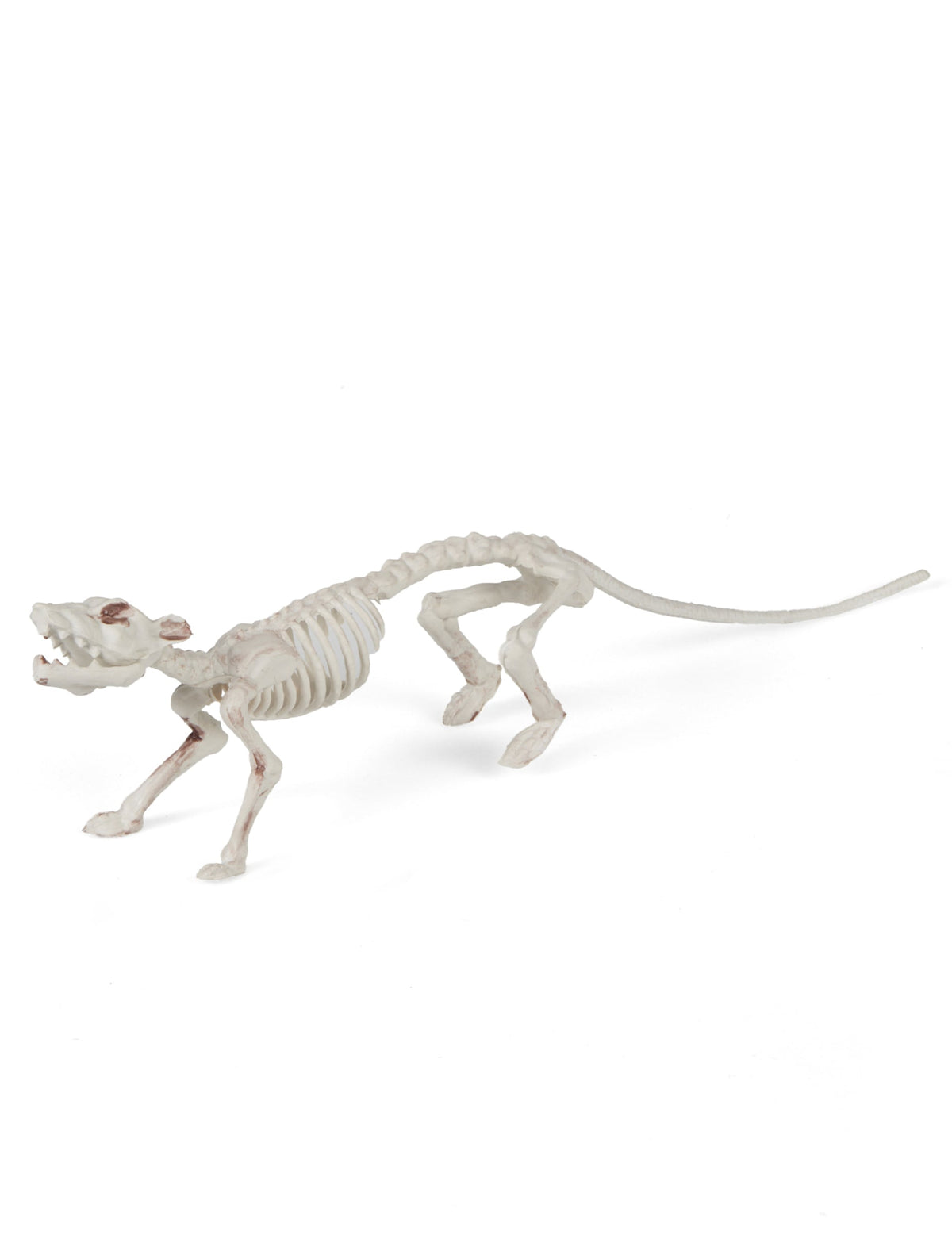 Décoration squelette rat pour Halloween couleur os