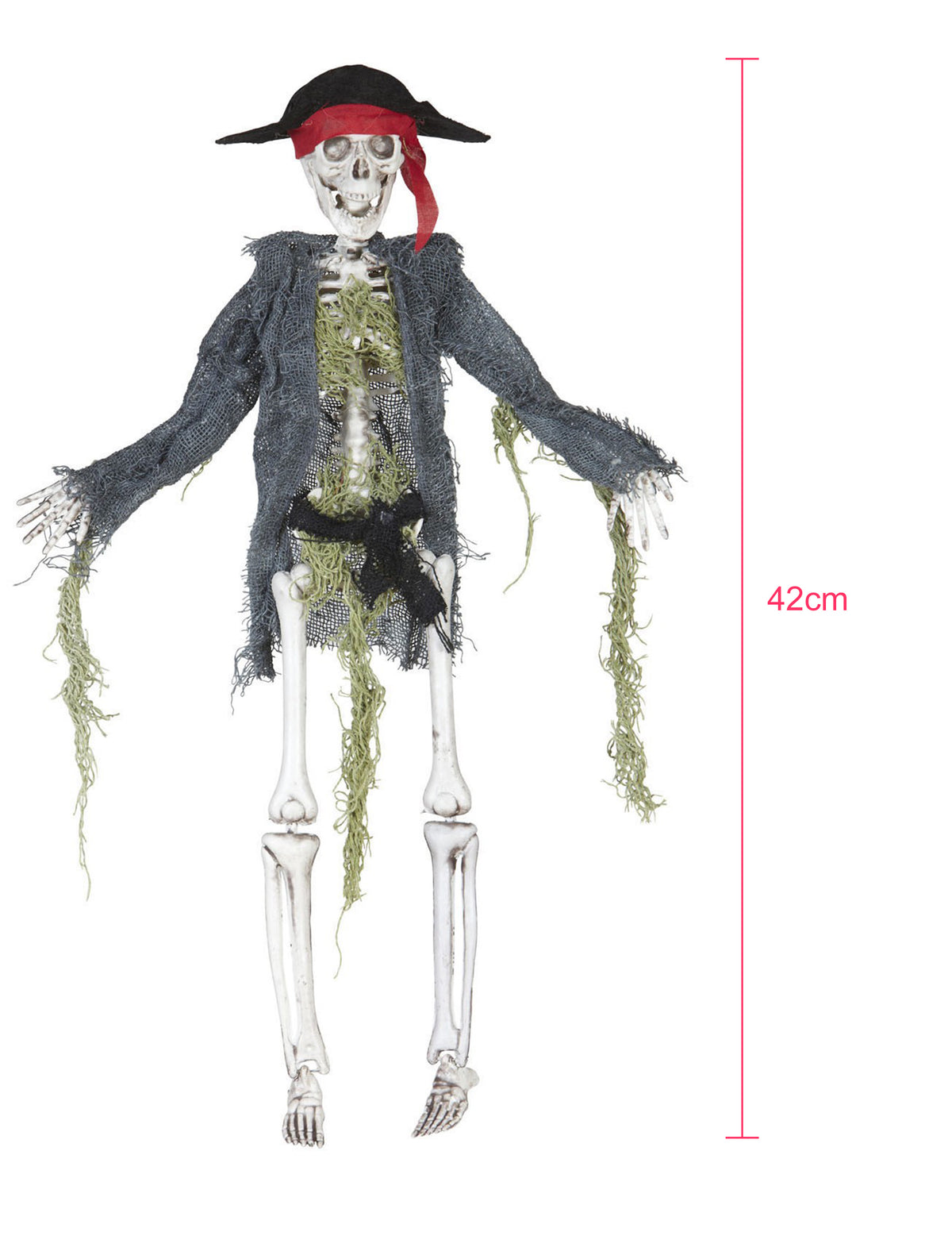 Dimensions et hauteur de la décoration zombie pirate pour Halloween