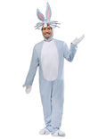 Fatos de Carnaval Looney Tunes