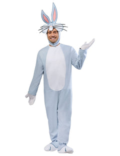 Fatos de Carnaval Looney Tunes