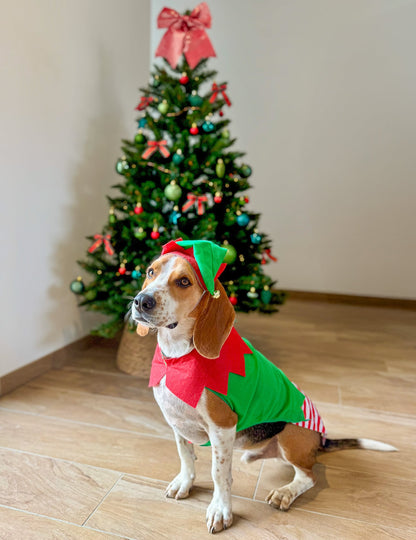 Vue de profil du déguisement elfe de Noël pour chien