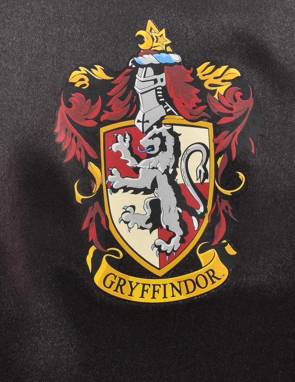 Detalhe do brasão da Gryffindor do fato e acessório Harry Potter