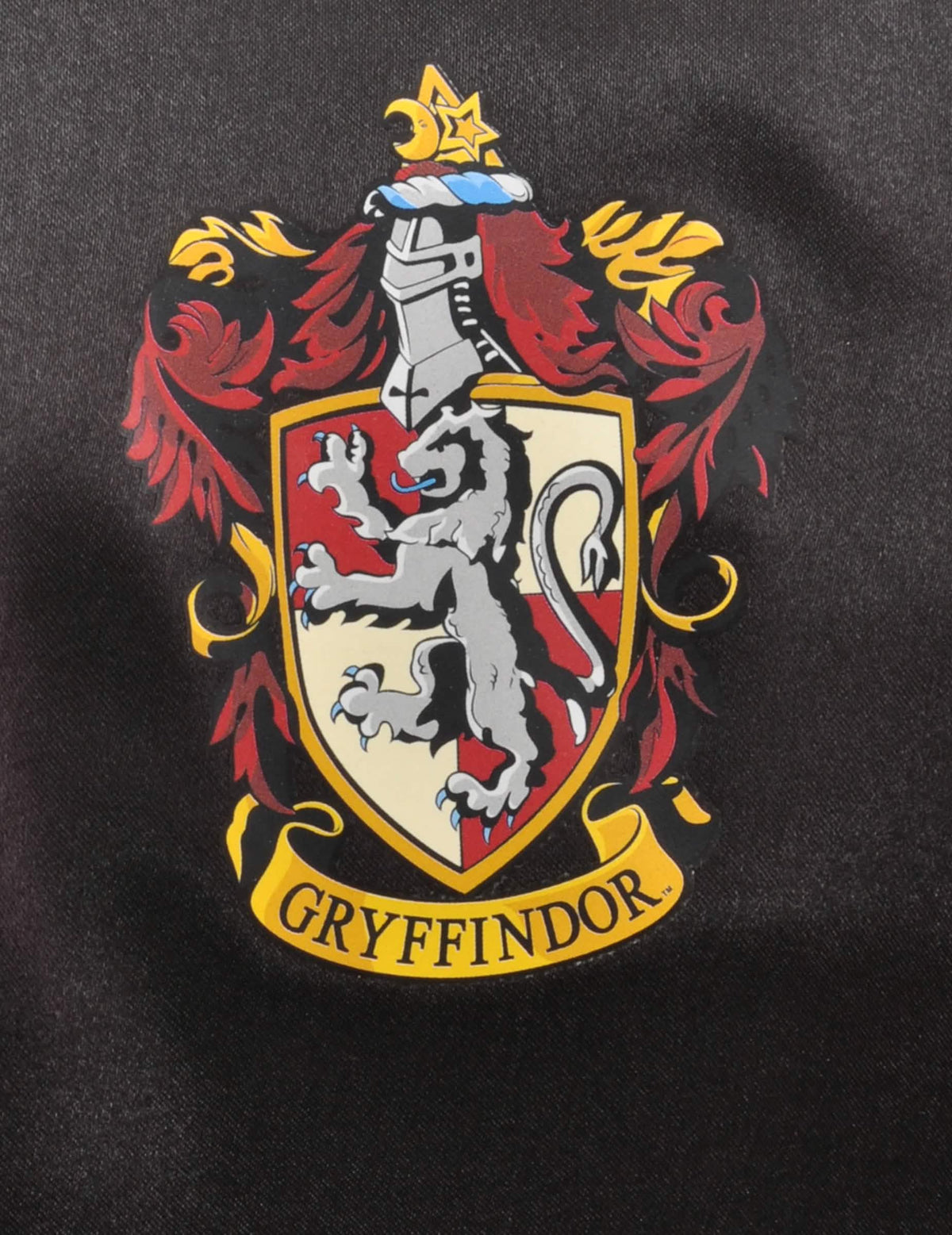 Detalhe do brasão Gryffondor do disfarce e acessórios Hermione para criança