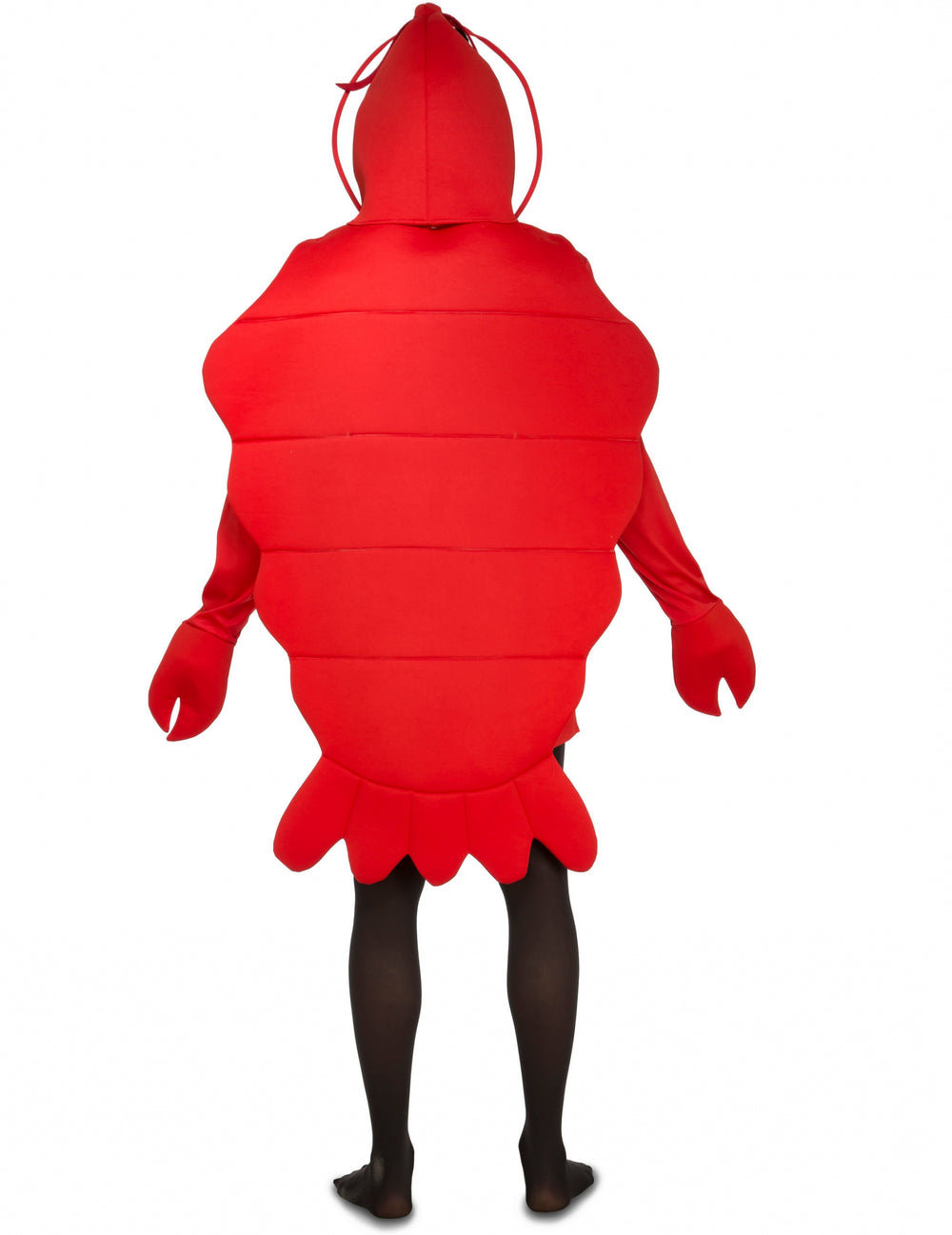 Vue de dos du déguisement de homard