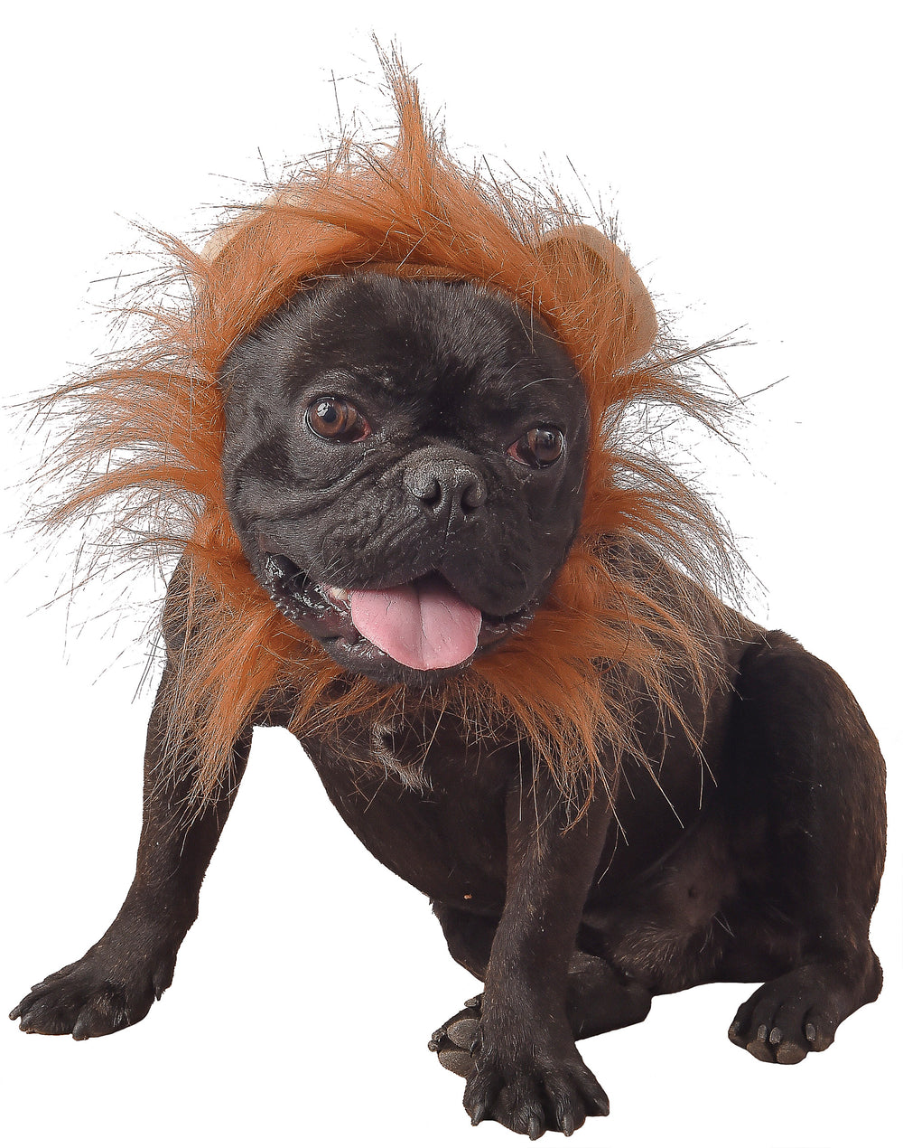 Déguisement lion pour chien marron avec crinière