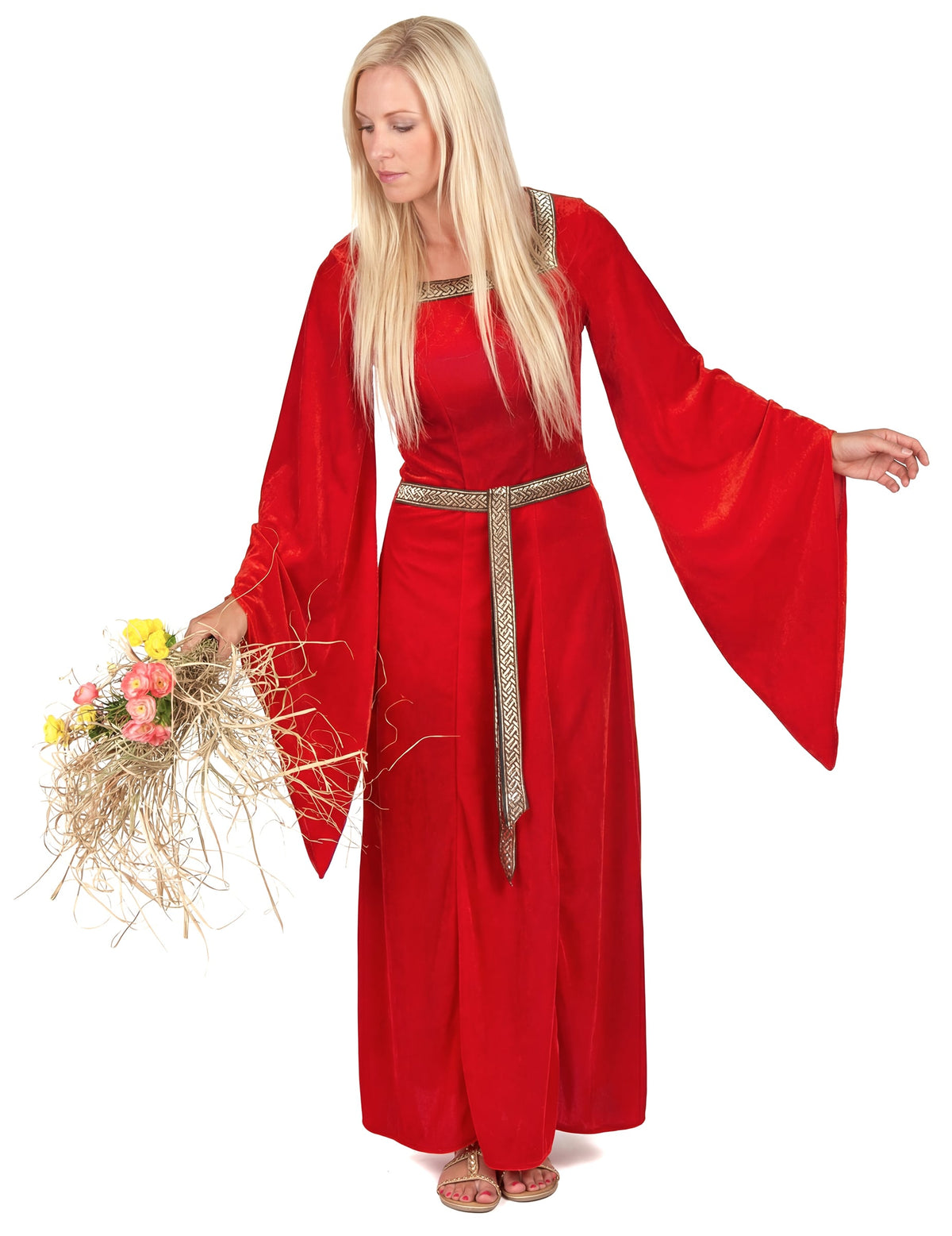 Vue d'ensemble du déguisement médiéval pour femme rouge effet velours