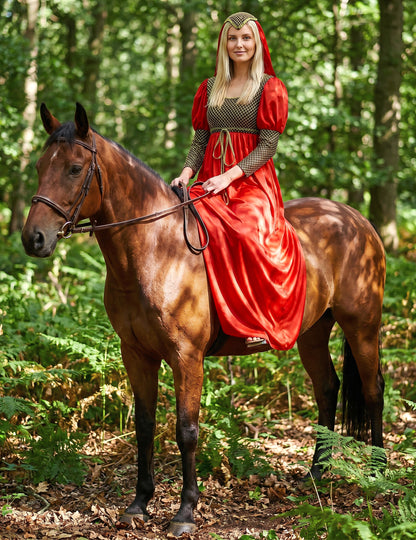 Disfarce medieval para mulher