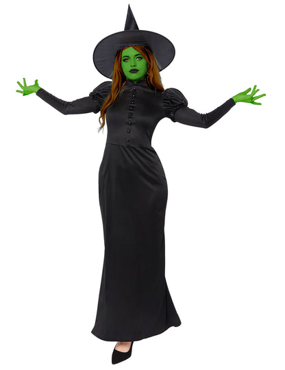 Vue d'ensemble du déguisement sorcière Wicked pour femme