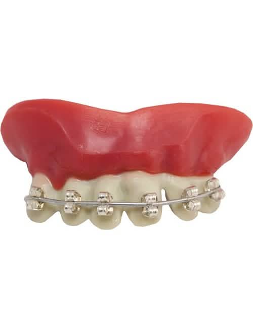 Dentadura aparelho dentário para adulto prateado