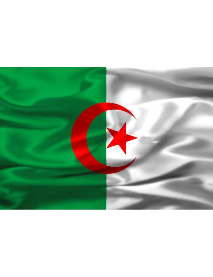 Drapeau supporter Algérie pour adulte vert et blanc avec croissant et étoile rouges