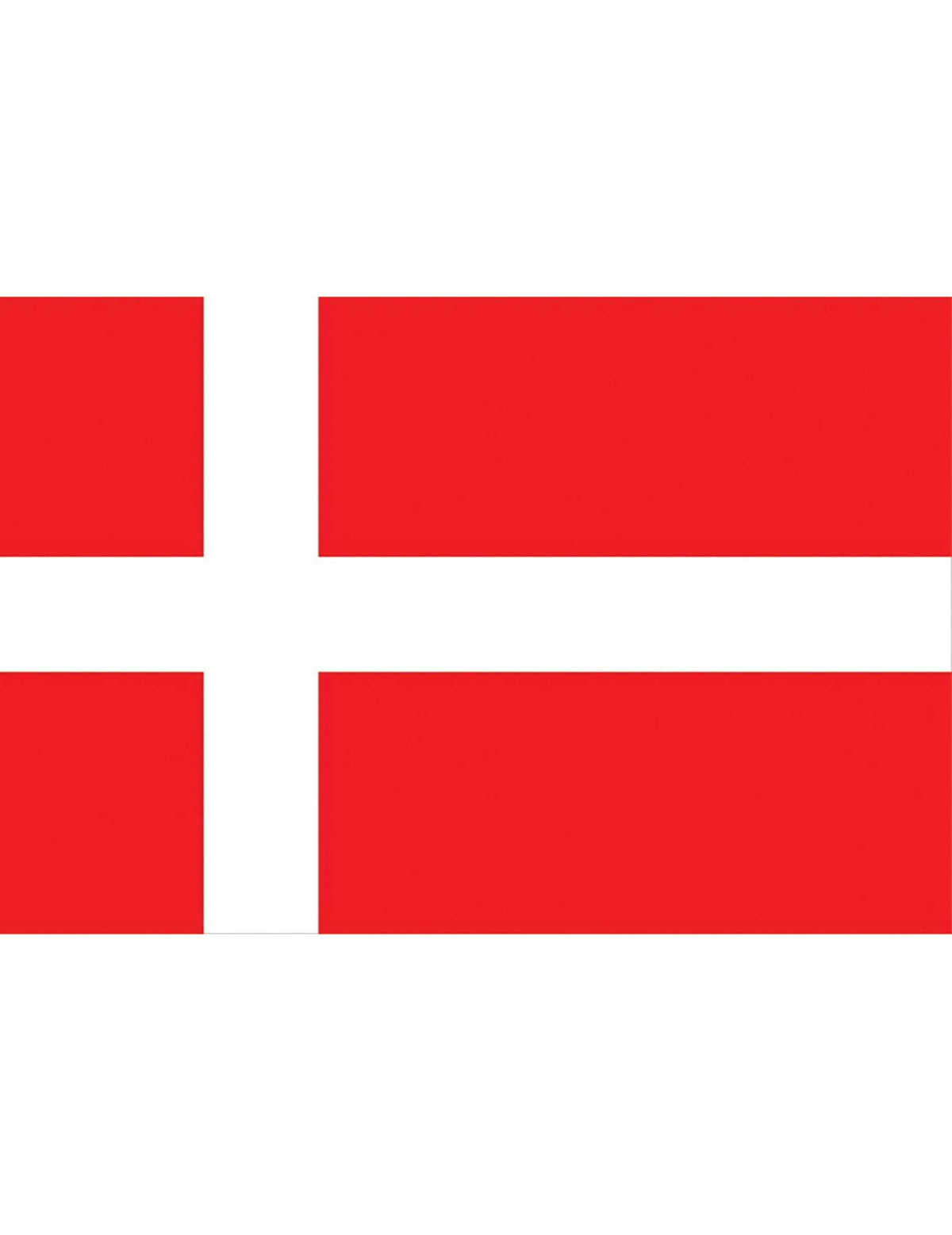 Bandeira de adepto Dinamarca 90 x 150 cm