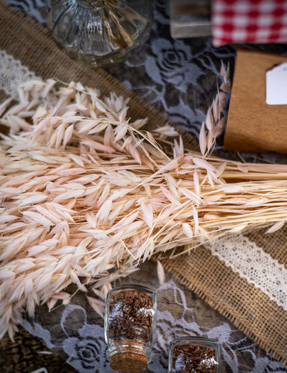 Gros plan sur les plumeaux de l'épi d'avoine séché ambiance champêtre