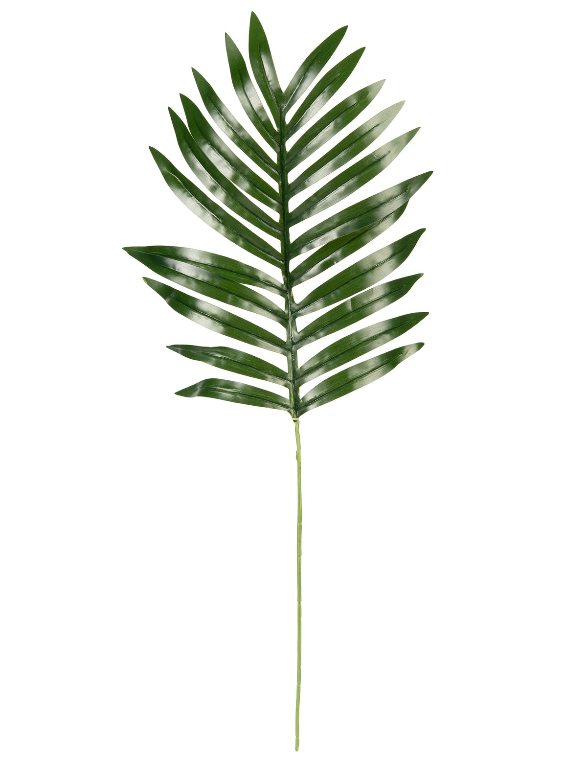 Vue d'ensemble de la feuille de palmier phoenix artificielle déco tropicale