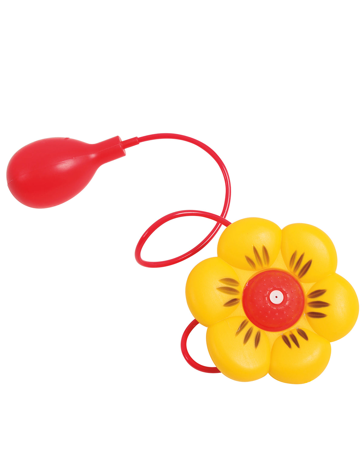 Détail de la poire et de la corolle de la fleur lance-eau de clown