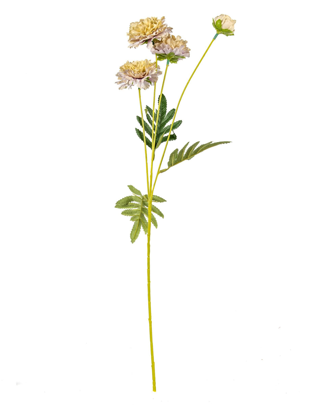 Vista de perfil de flores de zínia artificiais para bouquet
