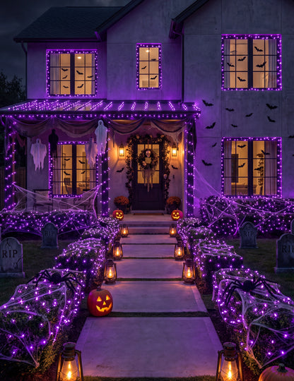 Guirlande lumineuse 200 LED violette 20M