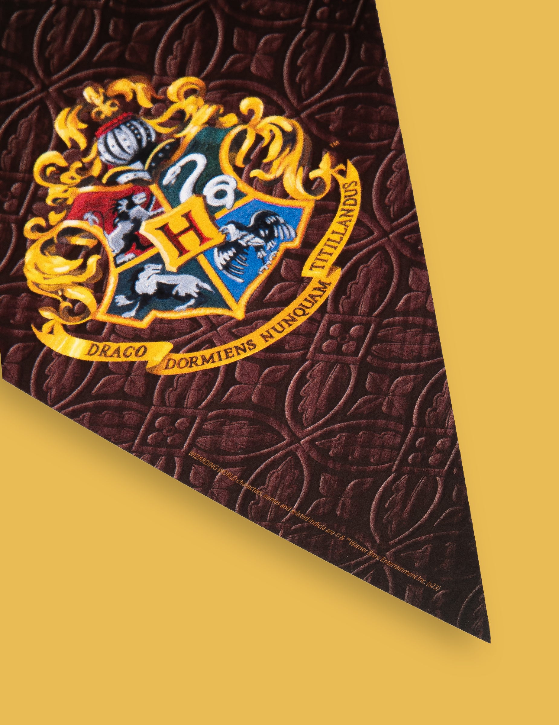 Détail du blason de Poudlard de la guirlande à fanions Harry Potter