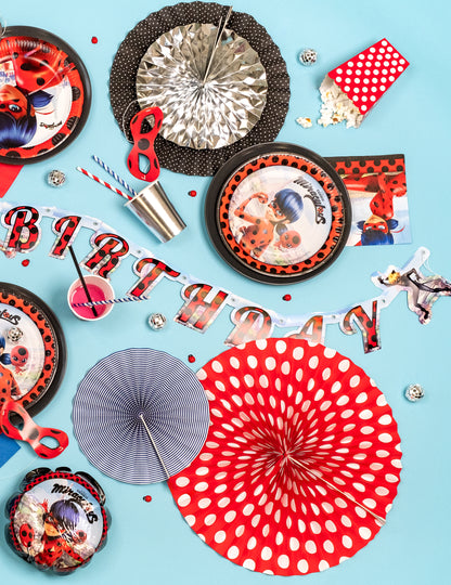 Vue d'ensemble de la décoration de fête de la guirlande en carton Happy Birthday Ladybug