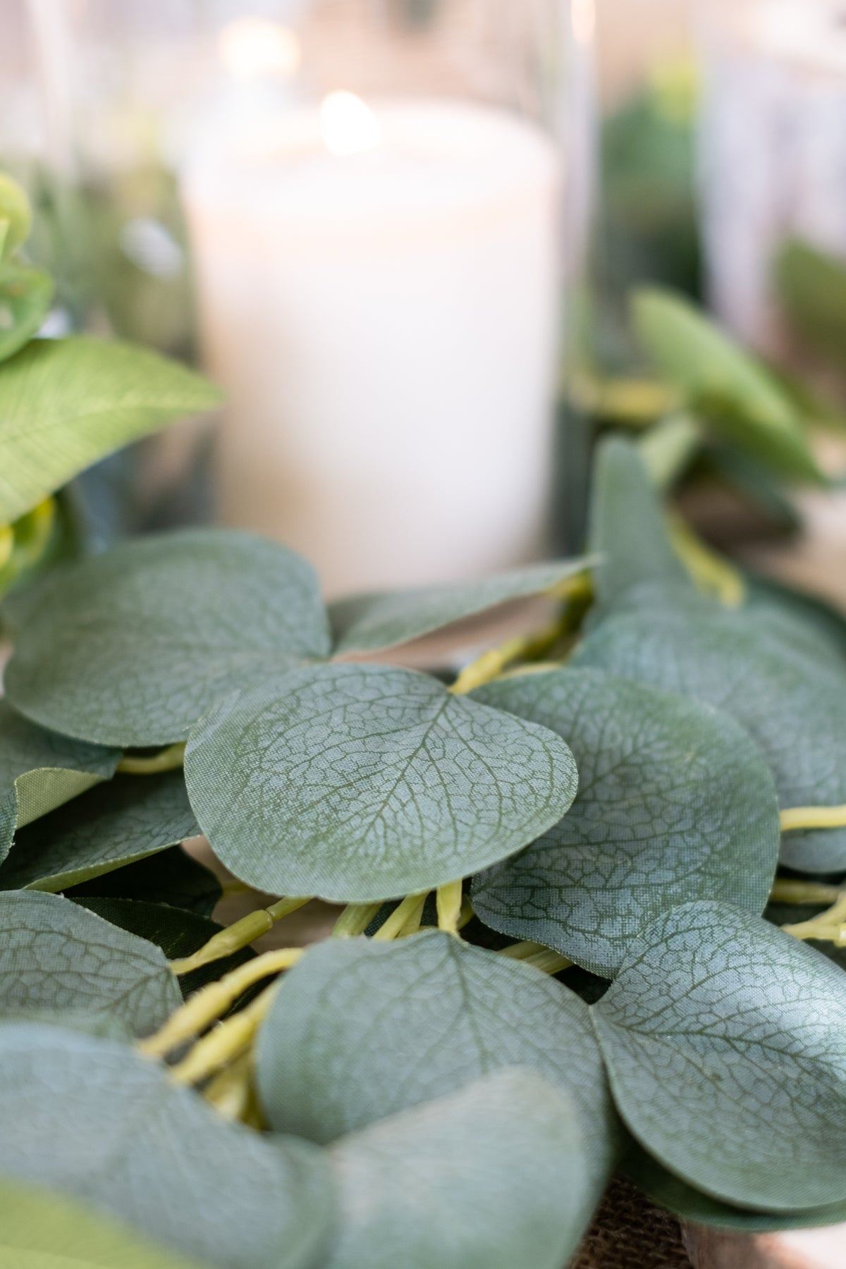 Gros plan sur les feuilles de la guirlande de feuilles d'eucalyptus décoration végétale