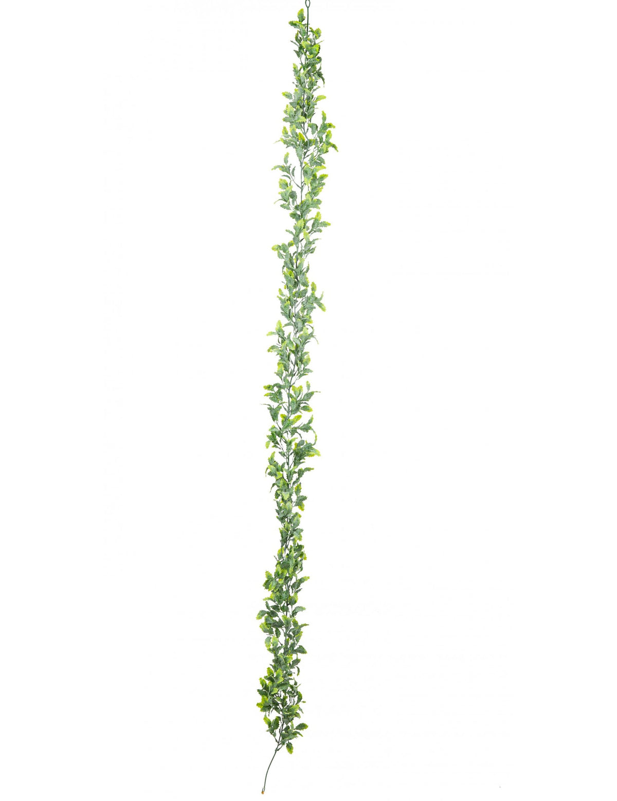 Guirlande feuilles de houx pour décoration vert aspect givré